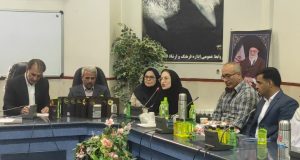 معصومه ربی بی رئیس هیئت ورزش های آبی بروجرد : در رشته شنا ، شناگران بروجردی پیشتاز هستند