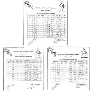 درخشش خیره‌کننده شناگر بروجردی با کسب ۳ طلا